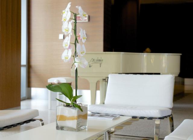 Kalidria Hotel & Thalasso SPA***** - Castellaneta Marina