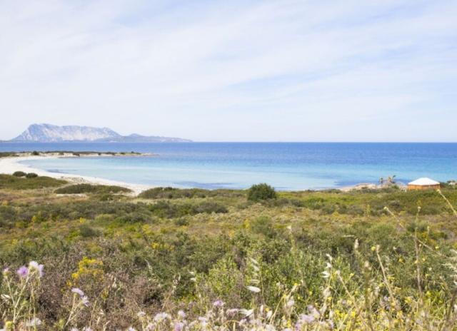 Residence Approdo Verde - San Teodoro