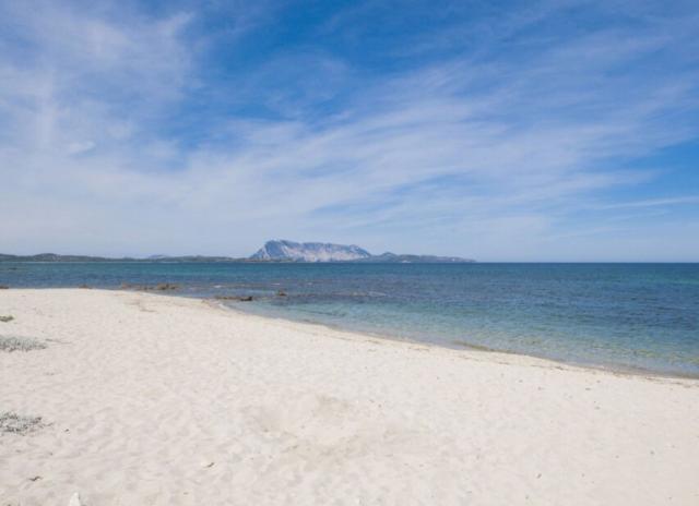 Residence Approdo Verde - San Teodoro