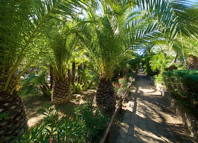 Residence Park Solemaremma - Castiglione della Pescaia
