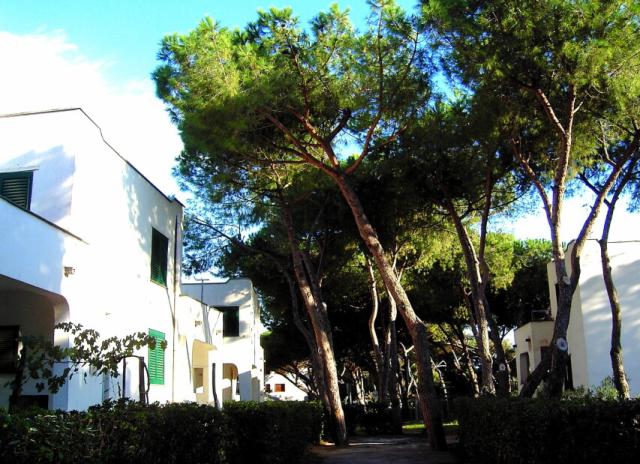Giulivo Village - Baia Domizia