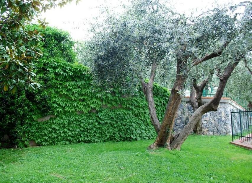 Residence Dei Fiori - Pietra Ligure