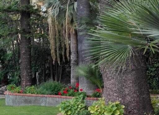 Residence Miramare - Imperia