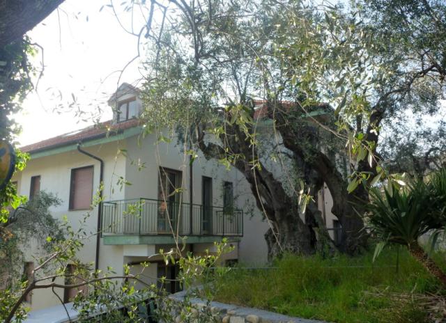 Villaggio Borgoverde - Imperia