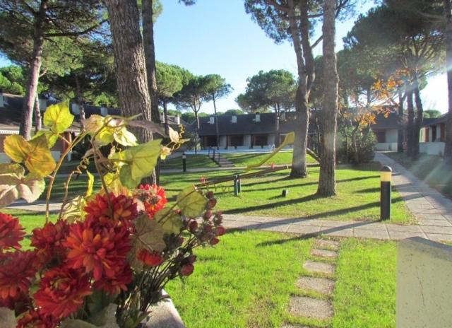 Villaggio Quadrifoglio (dodavatel 2) - Bibione Spiaggia