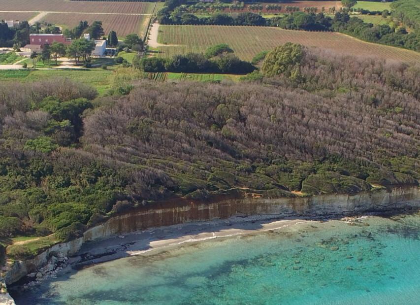 Masseria Mongio dell'Elefante**** - Baia dei Turchi
