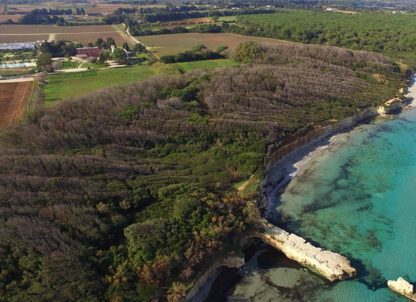 Masseria Mongio dell'Elefante**** - Baia dei Turchi