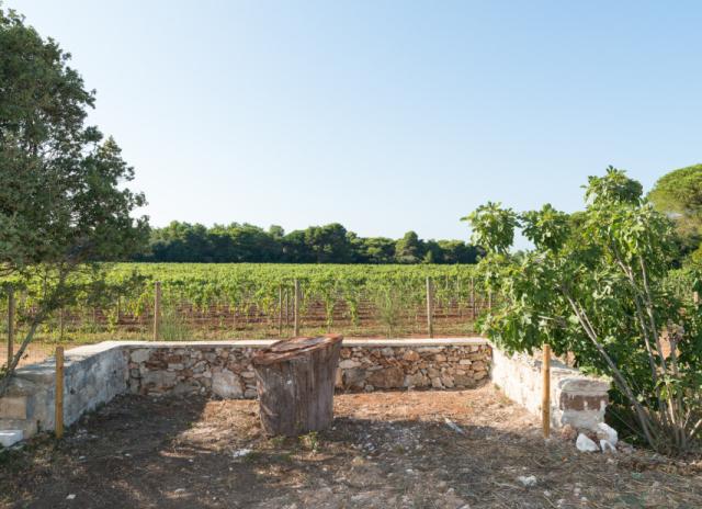 Masseria Mongio dell'Elefante**** - Baia dei Turchi