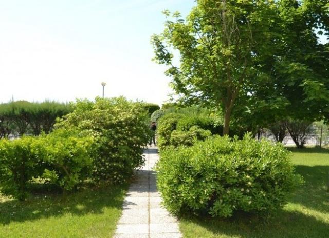 Residence Girasole (dodavatel 3) - Bibione Spiaggia