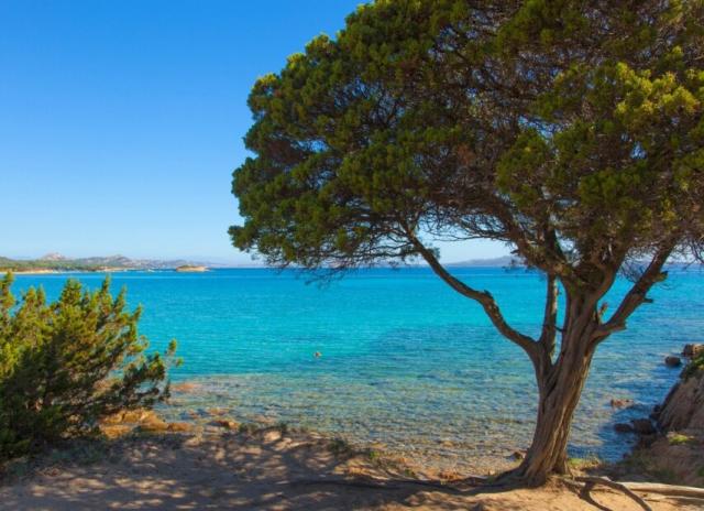 Hotel Centro Vacanze Isuledda**** - Cannigione