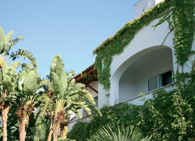 Hotel Royal Palm**** - Forio