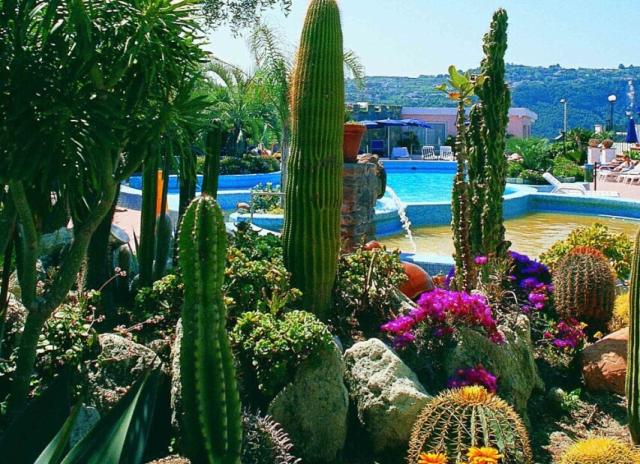 Hotel Terme Providence**** - Forio