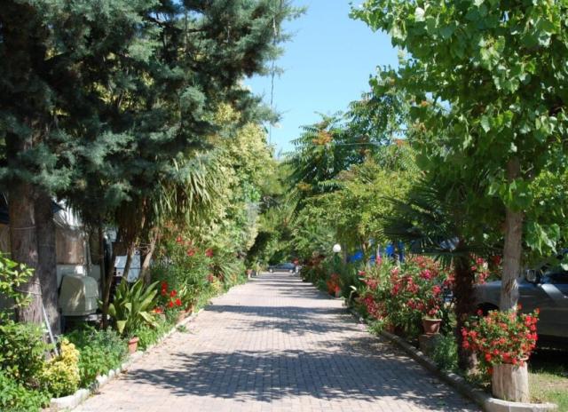 Camping Terrazzo sul Mare*** - Cupra Marittima
