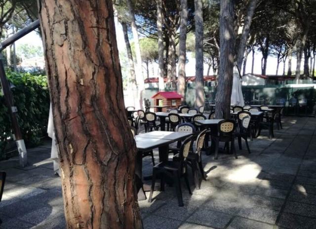 Pineta sul Mare Camping Village - Cesenatico