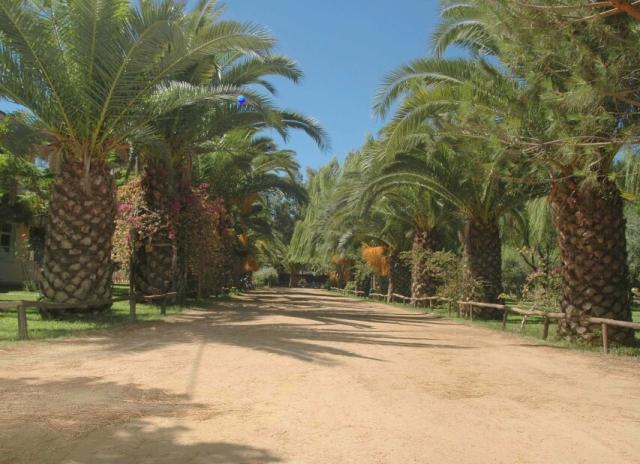Camping Iscrixedda*** - Lotzorai