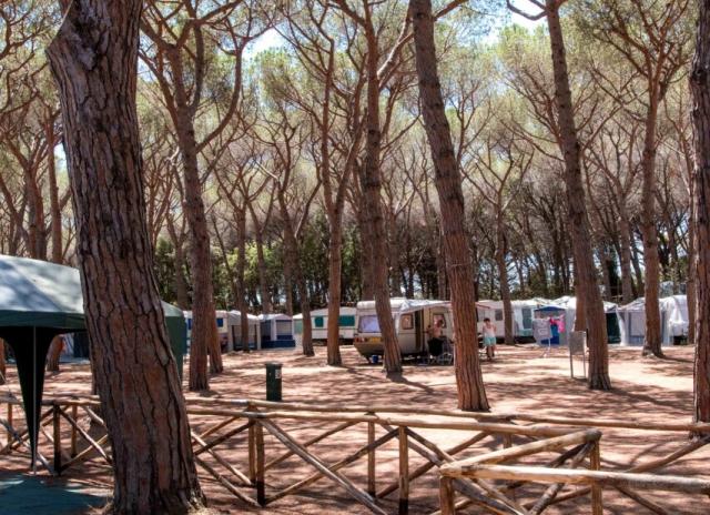 Gitavillage Il Gabbiano - Albinia