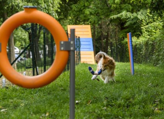 Camping Baia Verde - Manerba del Garda
