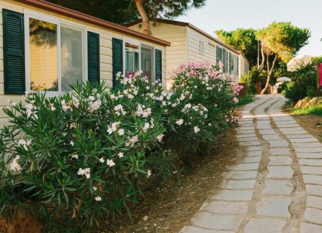 Villaggio Camping Torre del Porticciolo**** - Torre del Porticc