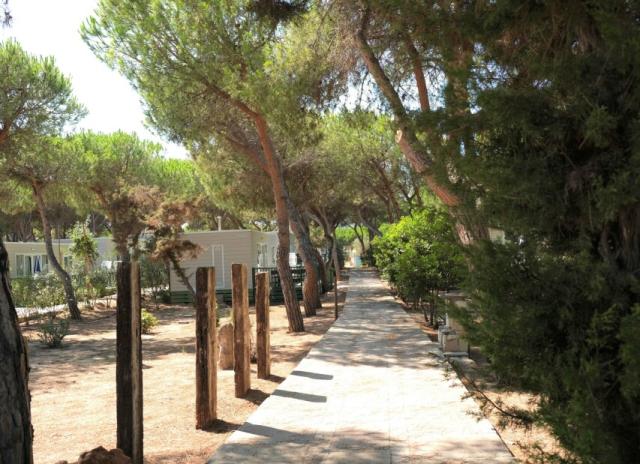 Villaggio Camping Torre del Porticciolo**** - Torre del Porticc