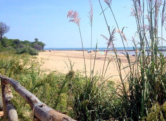 Residence Clizia (dodavatel 2) - Bibione Pineda