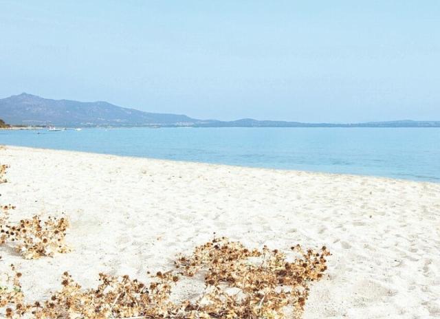 Hotel Li Suari Club Village**** - San Teodoro