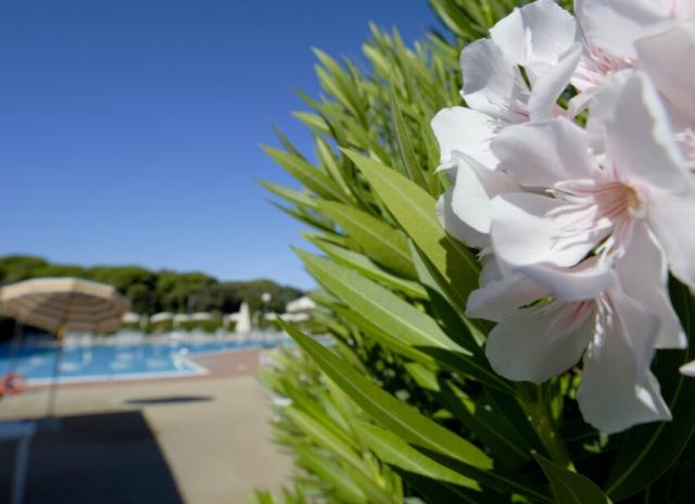 Le Residence di Santa Costanza - San Vincenzo
