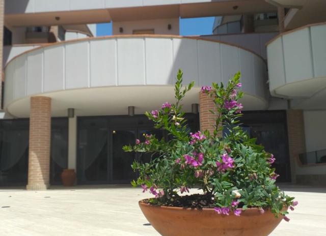 Le Residence di Santa Costanza - San Vincenzo