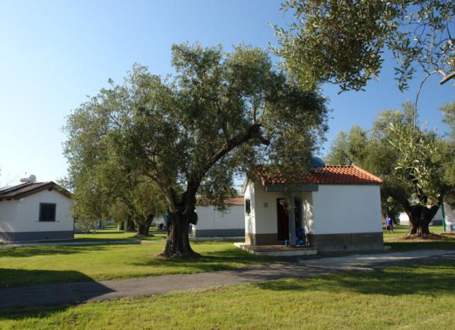 Villaggio Elea*** - Ascea Marina