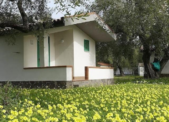 Villaggio Elea*** - Ascea Marina
