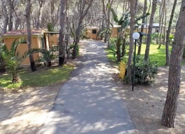 Camping La Vecchia Torre - Gallipoli