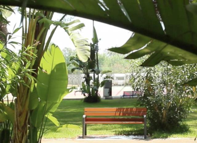 Camping La Vecchia Torre - Gallipoli