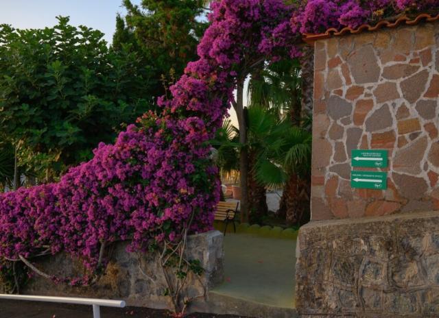 Hotel Parco Cartaromana*** - Ischia