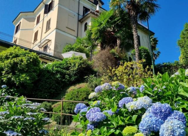 Apartmán Camelie - Baveno