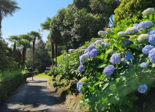 Apartmán Camelie - Baveno
