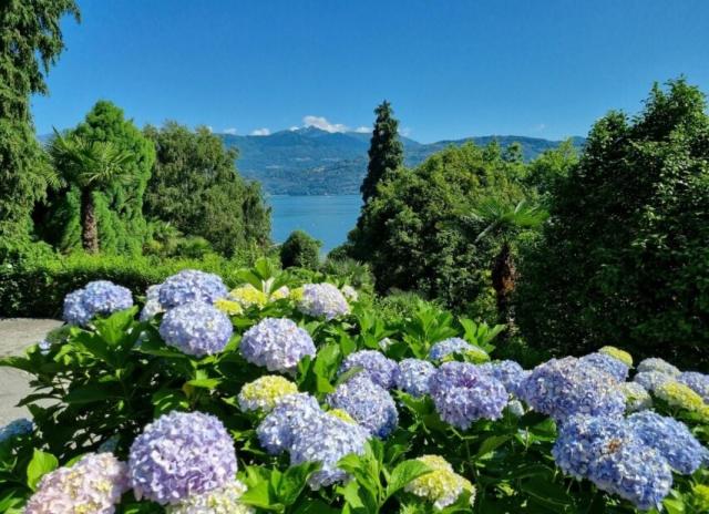 Apartmán Camelie - Baveno