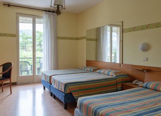 Hotel Palme & Suite*** - Garda