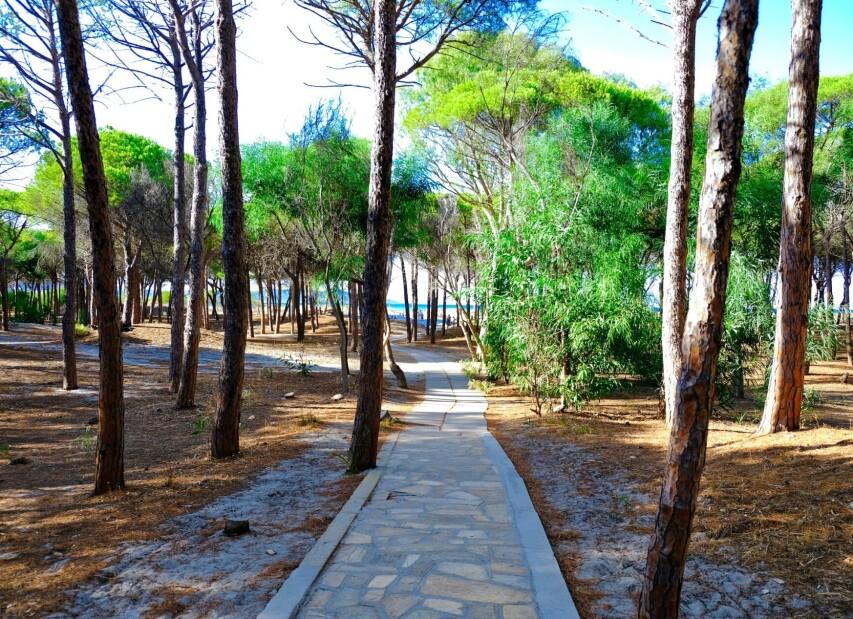 Selema Camping - Santa Lucia di Siniscola
