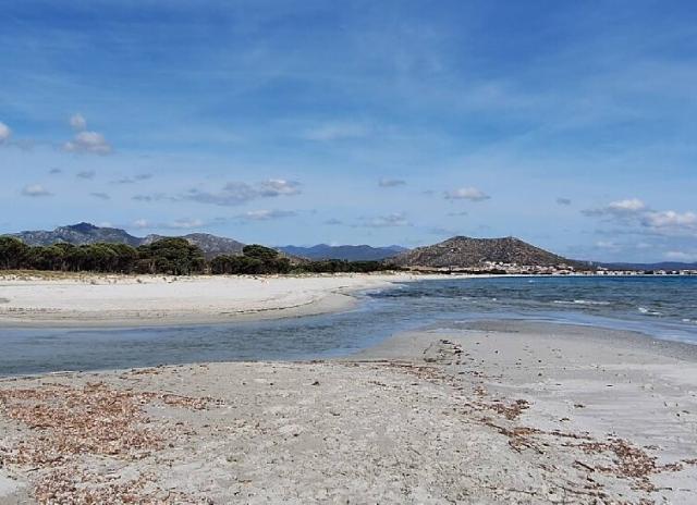 Selema Camping - Santa Lucia di Siniscola