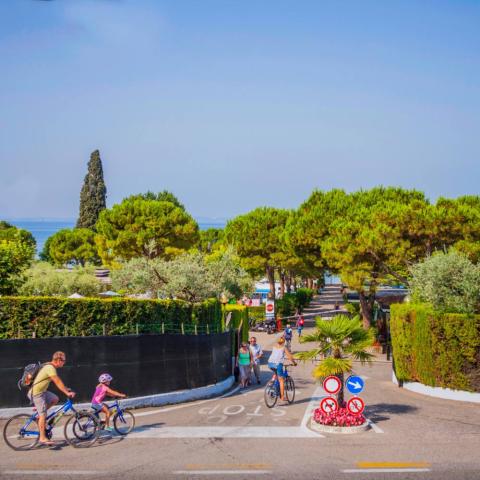 Serenella, Bardolino (4)