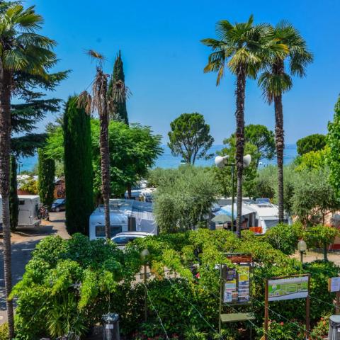 Serenella, Bardolino (2)