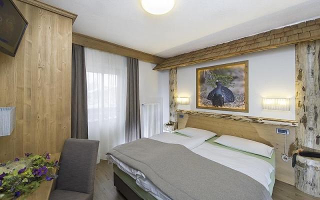 Aida Hotel, Pozza di Fassa (6)