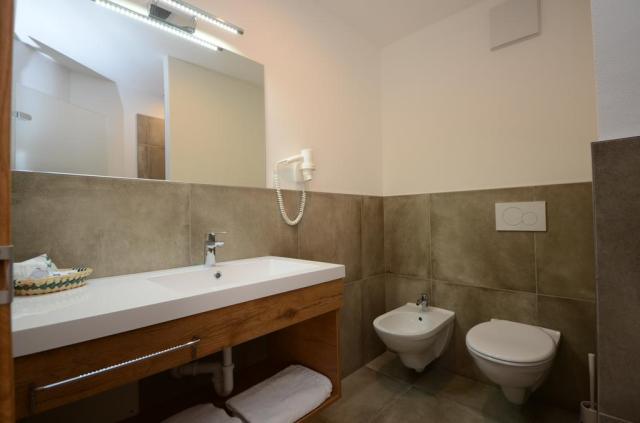 Park Hotel Avisio, Soraga di Fassa 2018 2019 (12)