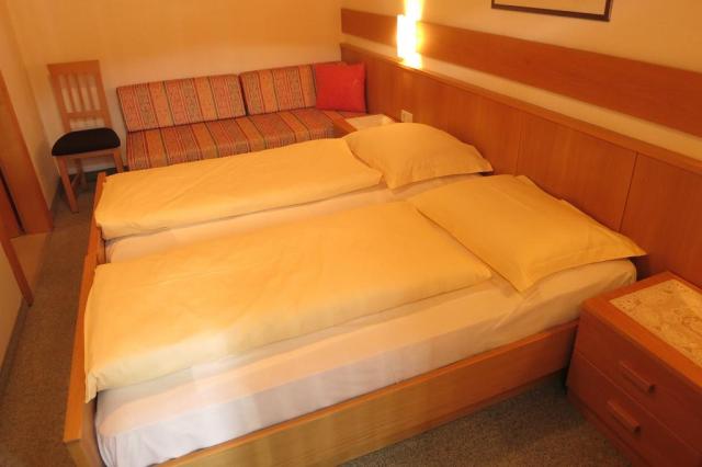 Montana Residence Rasun di Sopra 2019 (44)