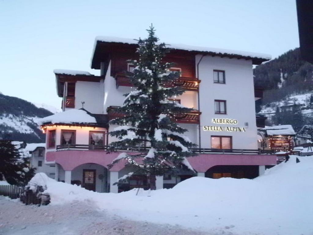 Stella Alpina