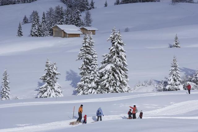 SH Wildgall, Anterselva 2019 (2)