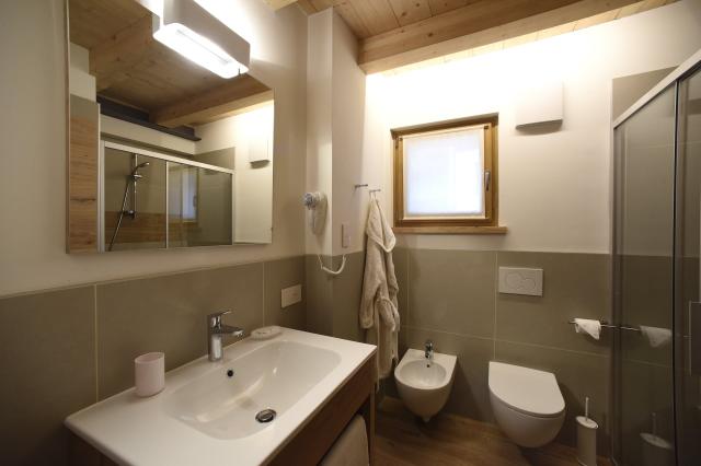 Europa apartmany Alleghe (56)