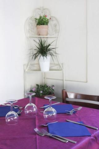 quisisana hotel rimini mar. centro 2019 (7)