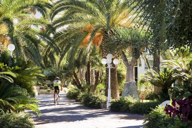 PH Mediteranneo, Forio (27)