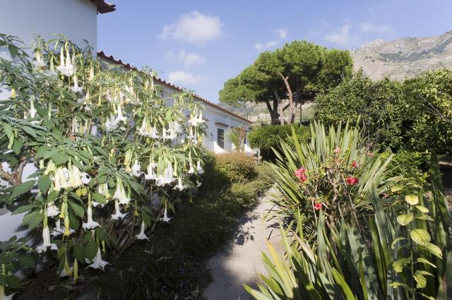 hotel Terme Mediterraneo Forio (3)