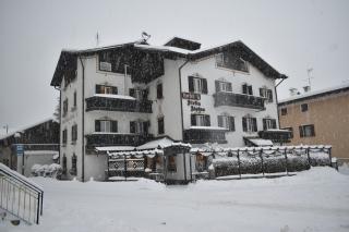 Stella Alpina